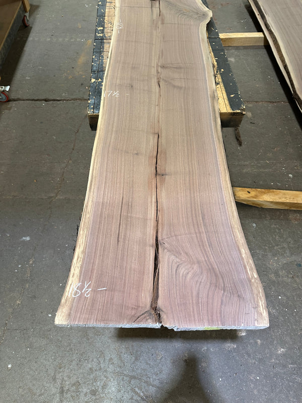 Black Walnut #BW1541