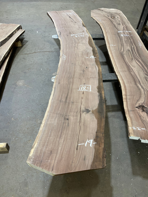 Black Walnut #BW15147