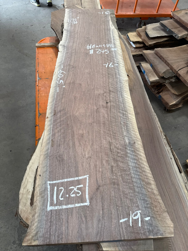 Black Walnut Live Edge Slab #BW1588 – 12.25 BF, 60.5" Long