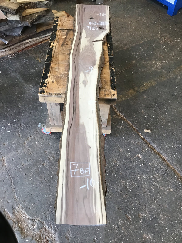 Black Walnut Slab #BW15203
