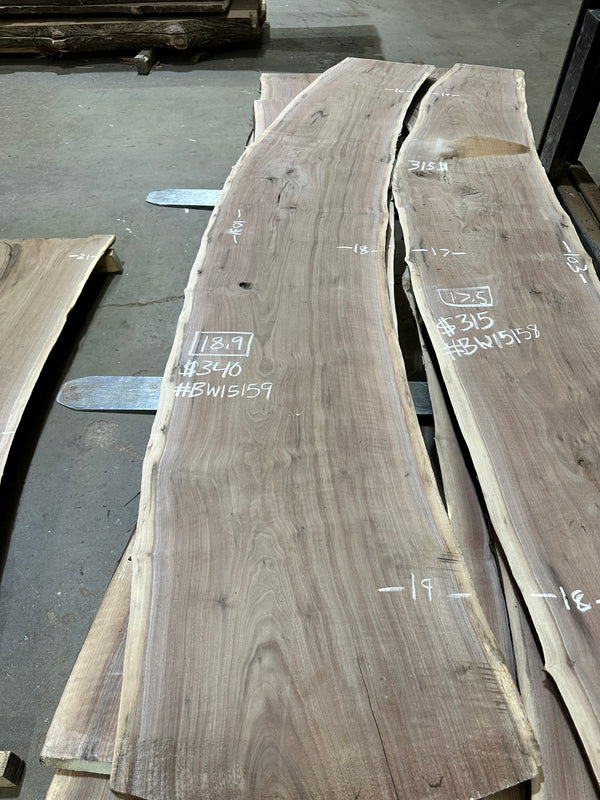 Black Walnut #BW15159