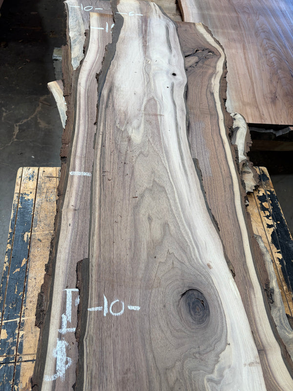 Black Walnut #BW1526