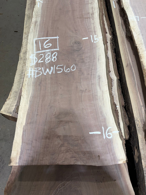 Black Walnut #BW1560