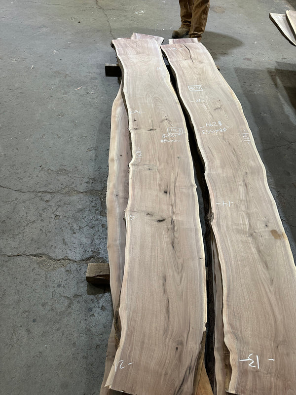 Black Walnut #BW1554