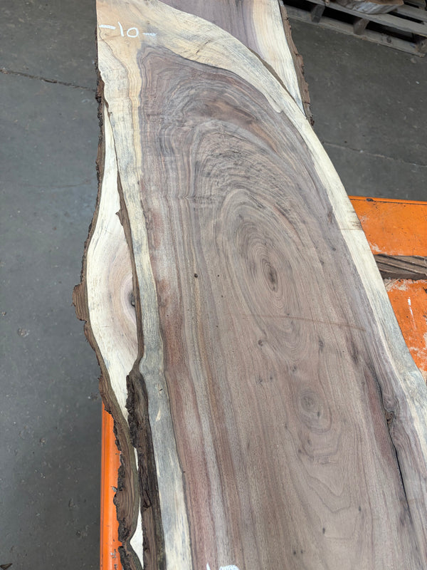 Black Walnut #BW1501