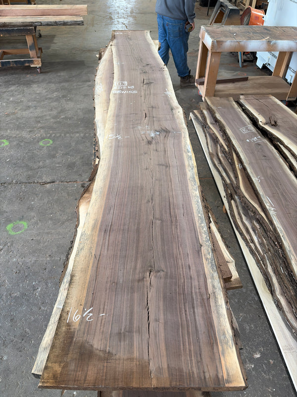 Black Walnut #BW155