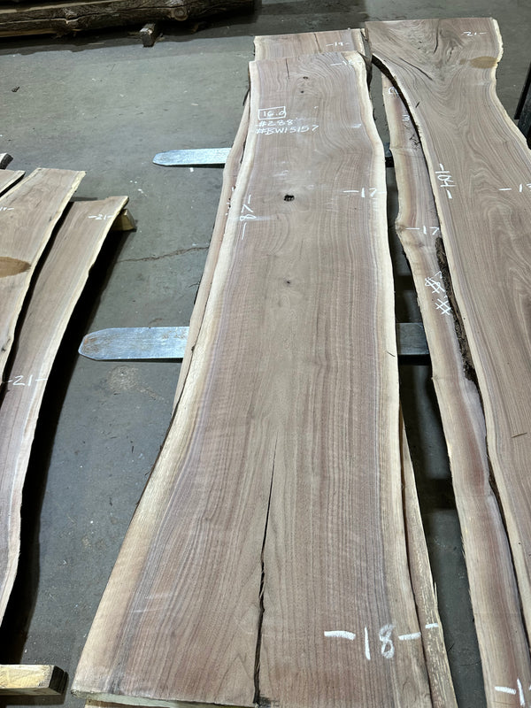 Black Walnut #BW15157