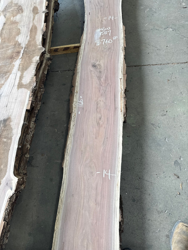 Black Walnut Live Edge Slab #BW1587 – 38 BF, 166" Long