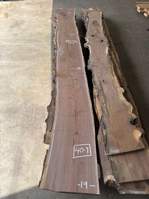 black walnut live edge slab #BW1584