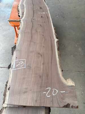 black walnut live edge slab #BW1591, full view