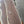 Load image into Gallery viewer, Black Walnut Live Edge Slab #BW1591 – 23 BF, 138" Long
