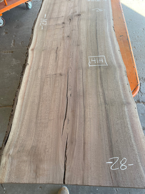 Black Walnut #BW905