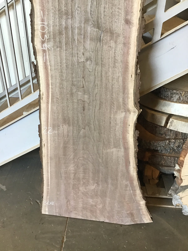 Black Walnut #BW903