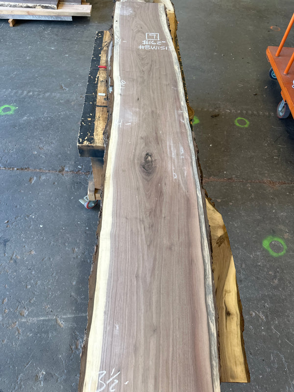 Black Walnut #BW1513