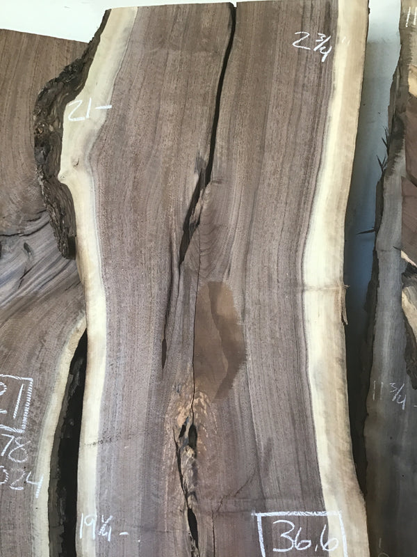 Black Walnut #BW901