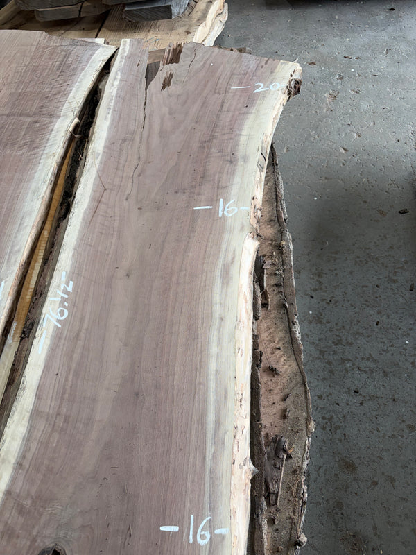 Black Walnut #BW1563