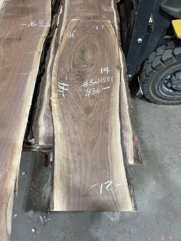 Black Walnut #BW1581