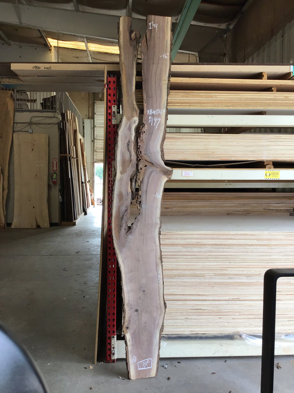 Black Walnut Slab #BW15217