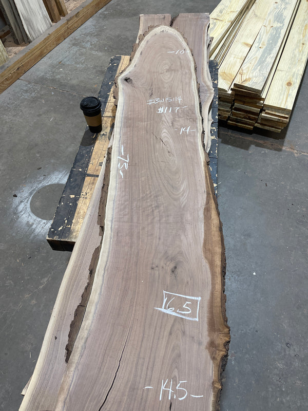 Black Walnut #BW15114