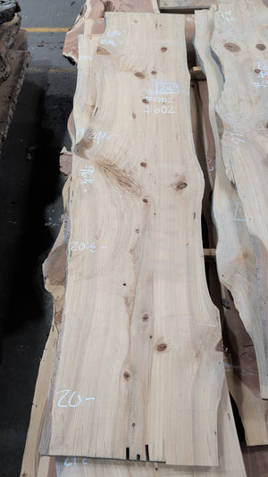 Bald Cypress live edge slab #CY03, full view