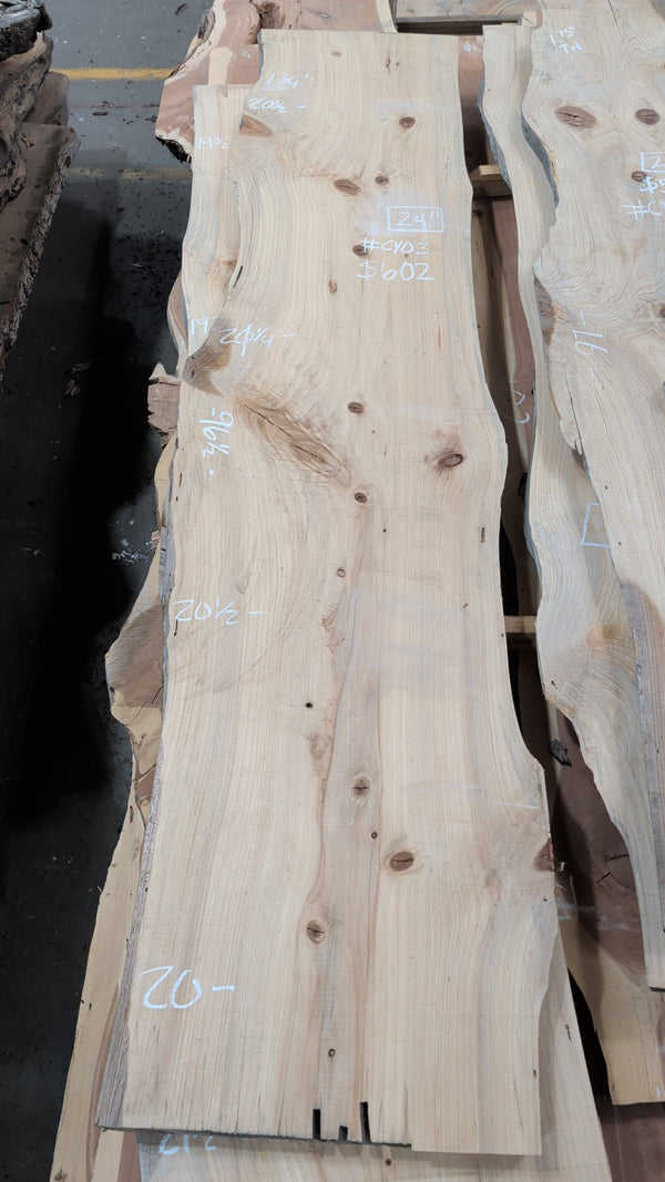 Bald Cypress live edge slab #CY03, full view
