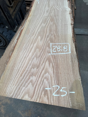 red oak hardwood slab #RO1702, full view