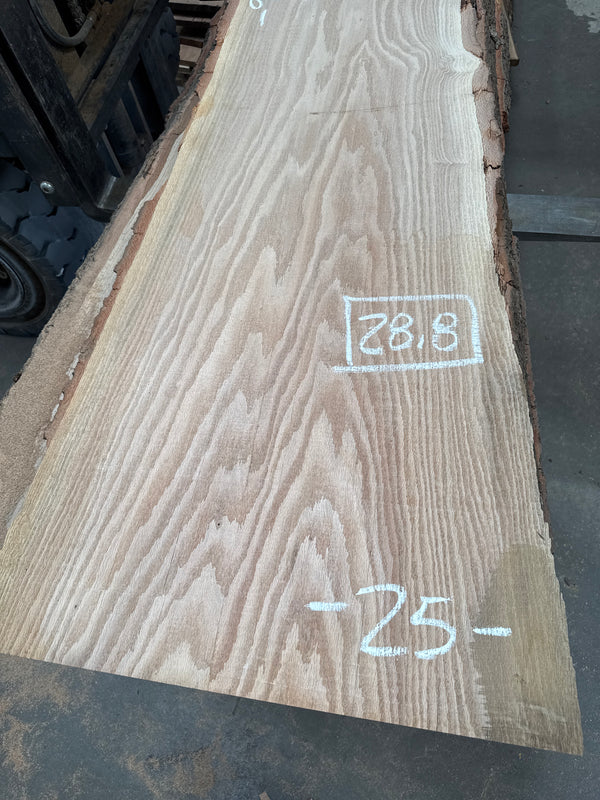 Red Oak #RO1702