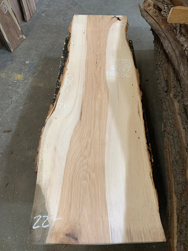 Pecan #PE06