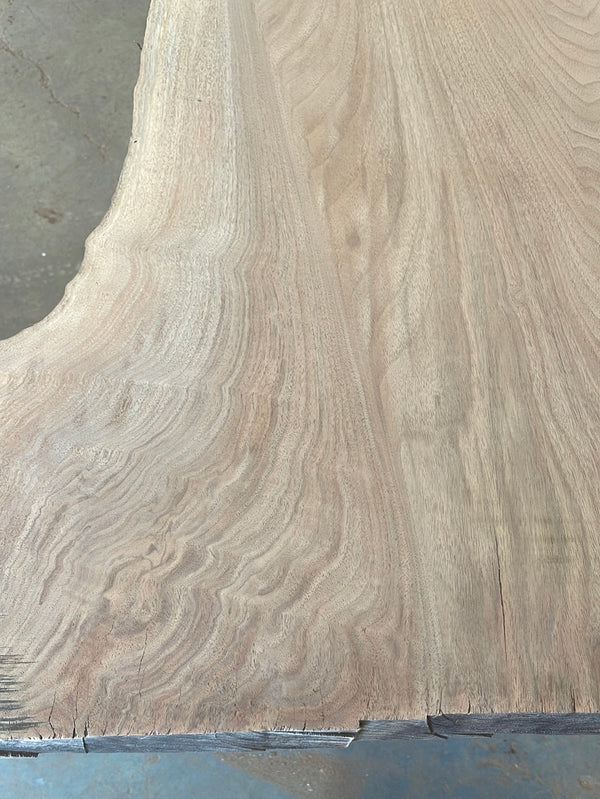 Black Walnut #BW413