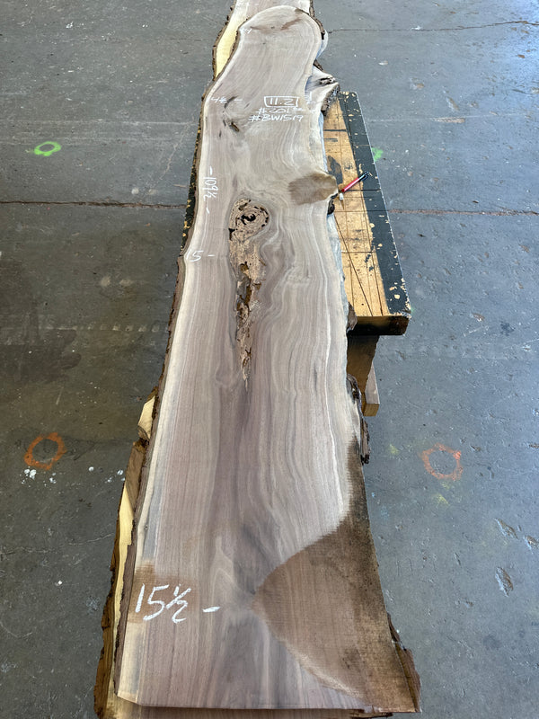 Black Walnut #BW1519