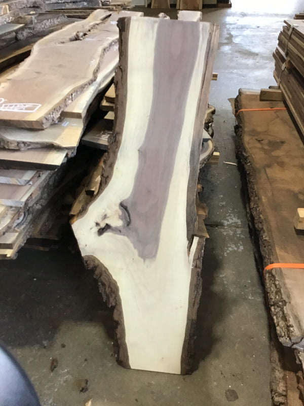Black Walnut Slab # BW15240 #CB