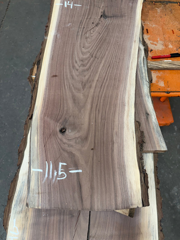 Black Walnut #BW1509