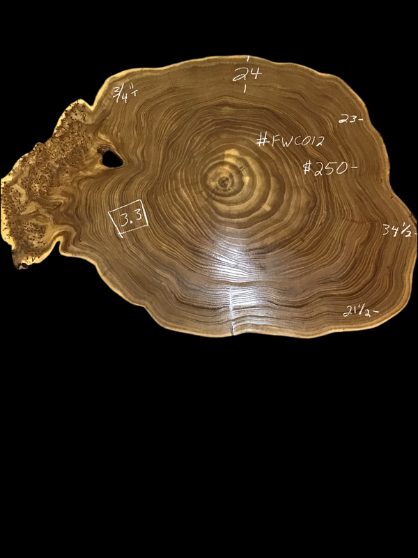 Chinese Elm #FWC012