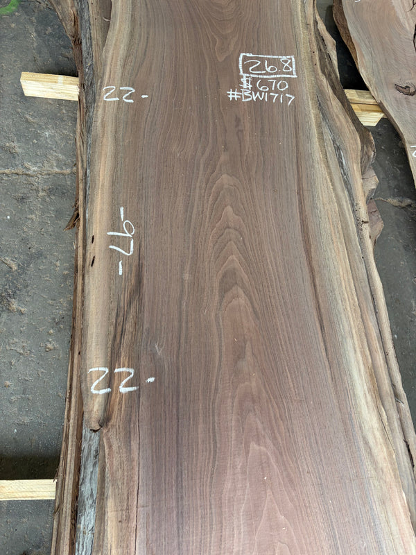 Black Walnut #BW1717