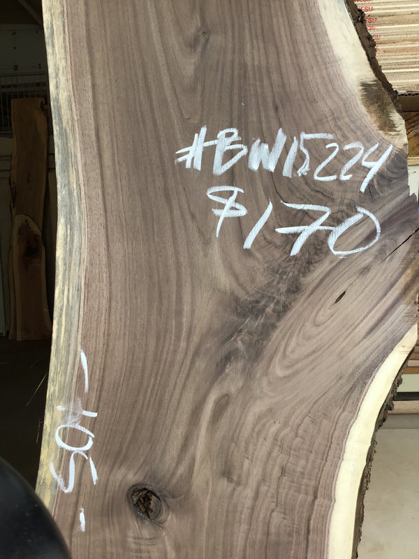 Black Walnut #BW15224