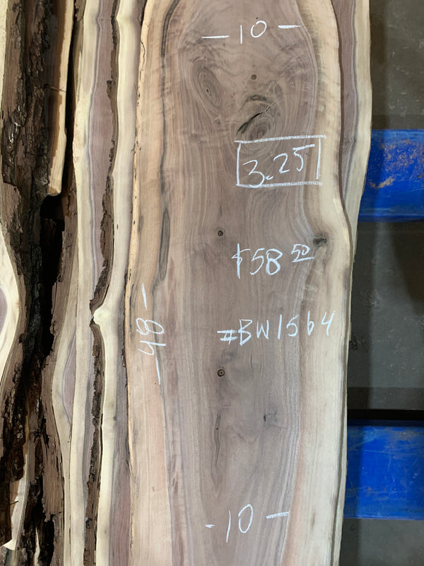 Black Walnut #BW1564