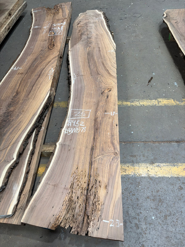 Black Walnut #BW1578
