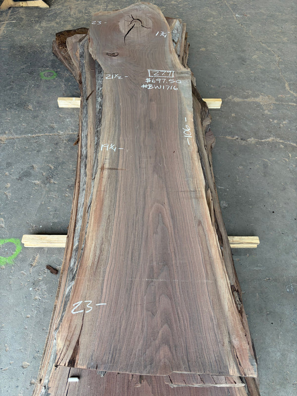 Black Walnut #BW1716