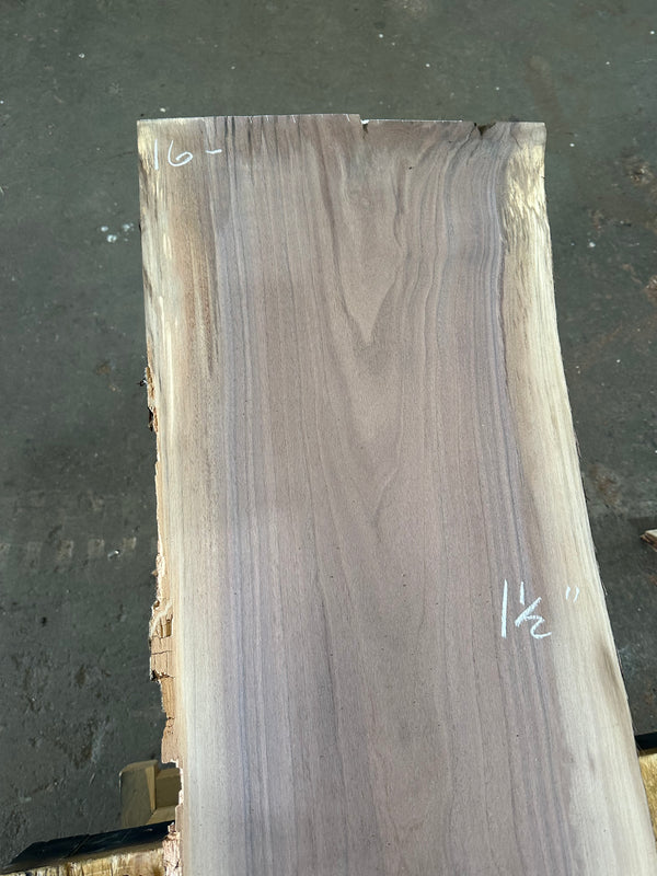 Black Walnut #BW1537