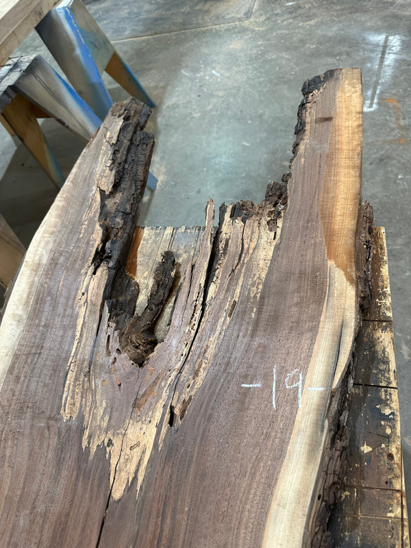 Black Walnut #BW022