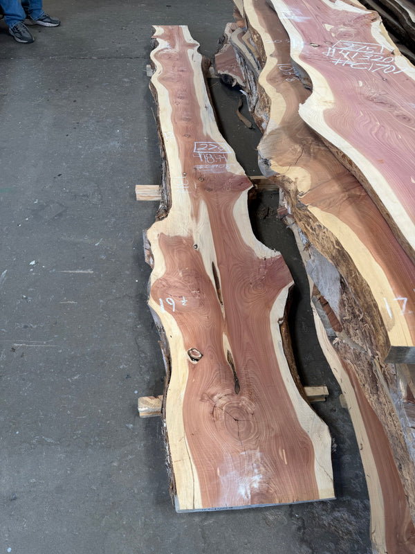 Cedar #C1708