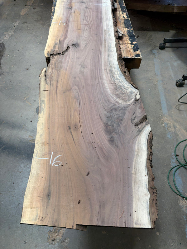 Black Walnut #BW1528