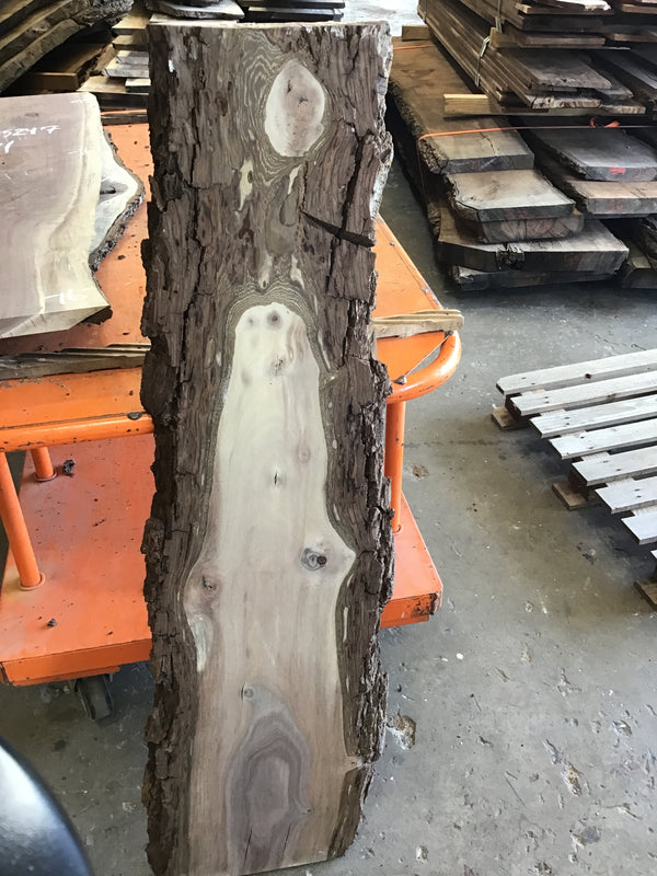 Black Walnut Slab #BW15244 #CB
