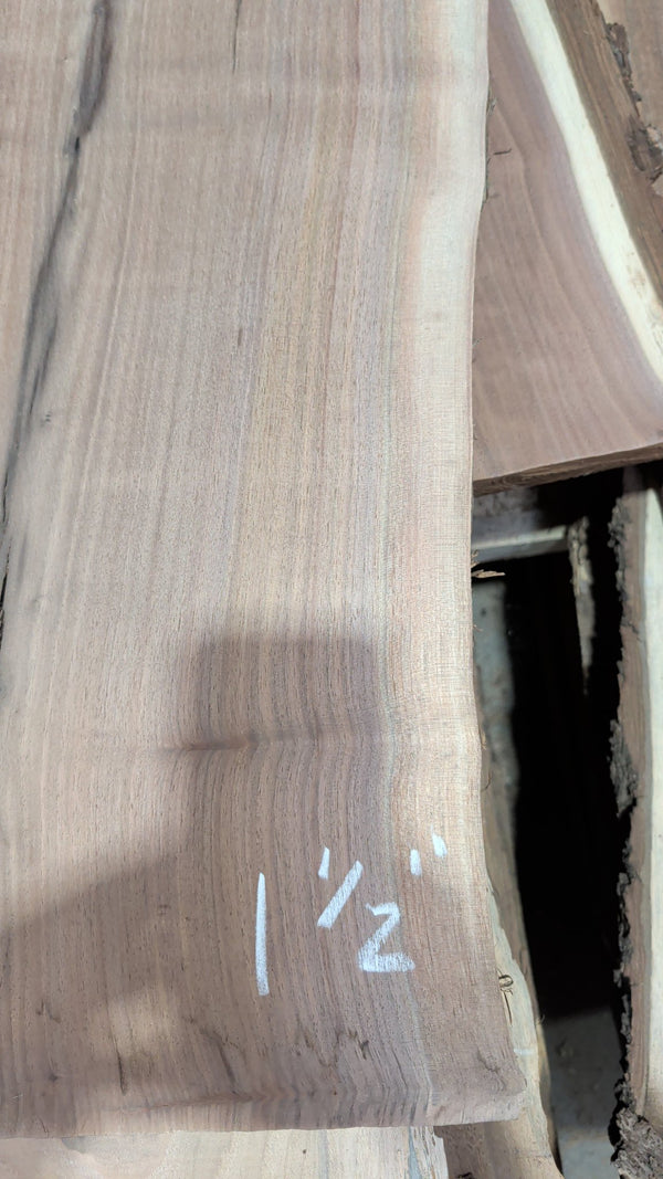 Black Walnut Live Edge Slab #BW1308, 11.6 BF, 78 in. Long