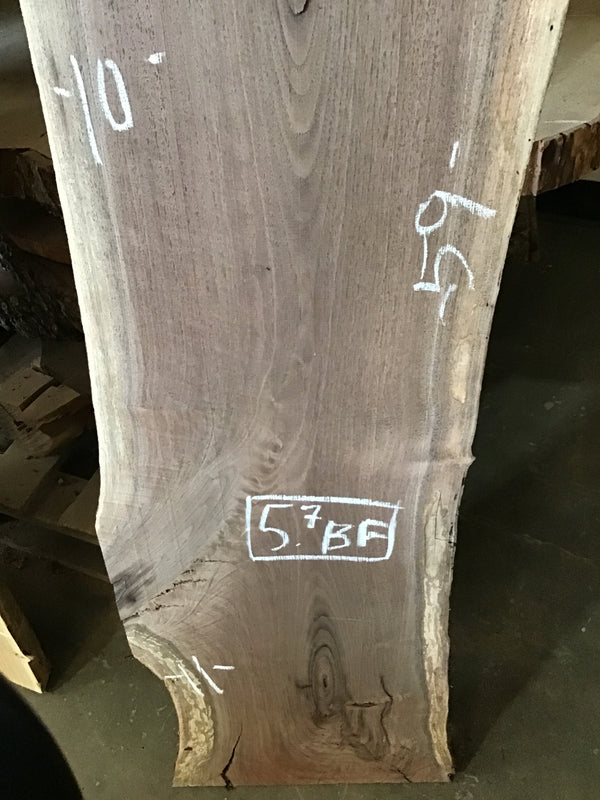 Black Walnut Slab #BW1904