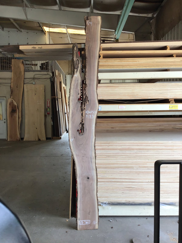 Black Walnut Slab #BW15216