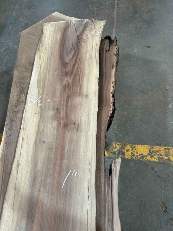 Black Walnut #BW1512