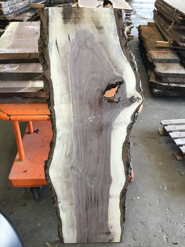 Black Walnut Slab #BW15241 #CB