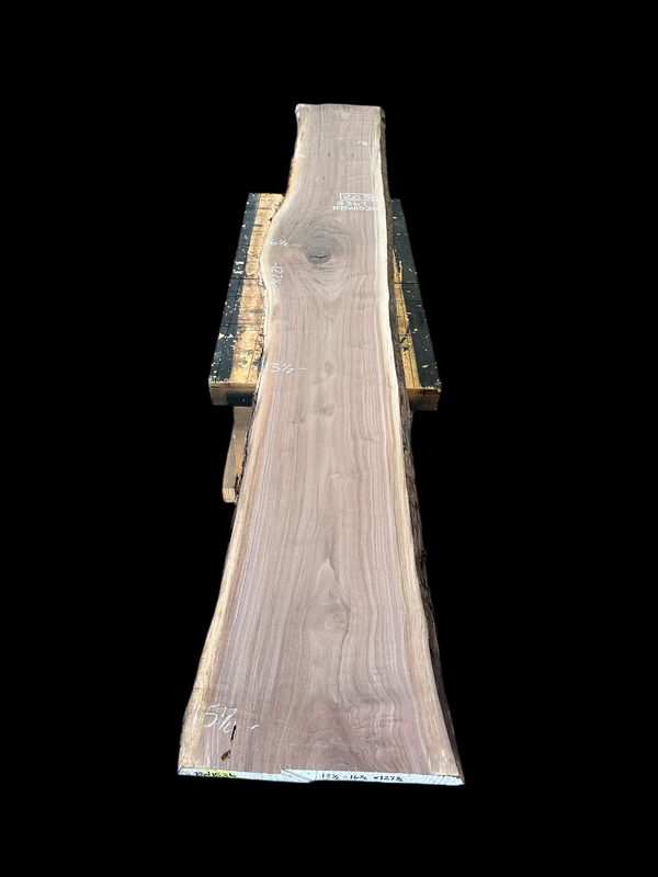 Black Walnut #BW1536