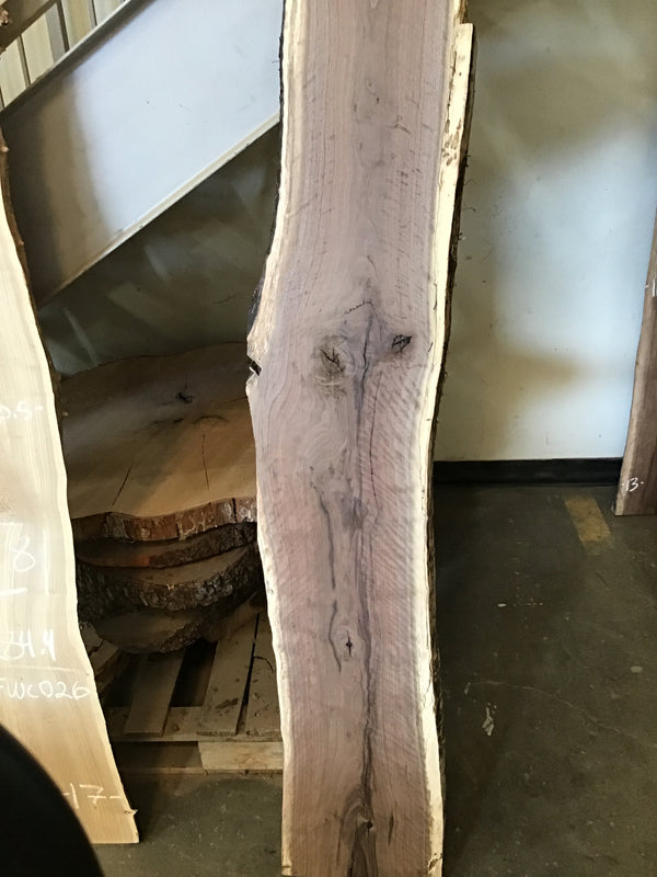 Black Walnut Slab #BW1906